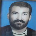 علی  شیخی 