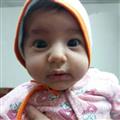 وکیلی ازغندی